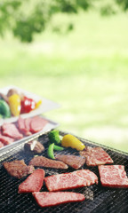 公園でBBQ © funny face