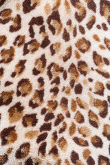 leopard pattern