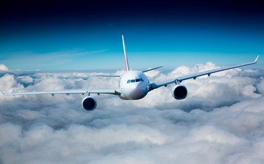 Naklejka na ściany i meble Passenger Airliner in the sky