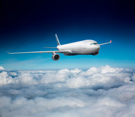 Passenger Airliner in the sky