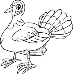 turkey bird coloring book