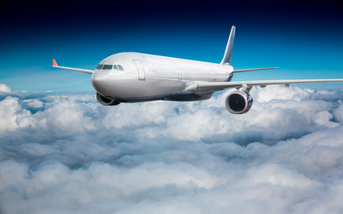 Fototapeta premium Passenger Airliner in the sky