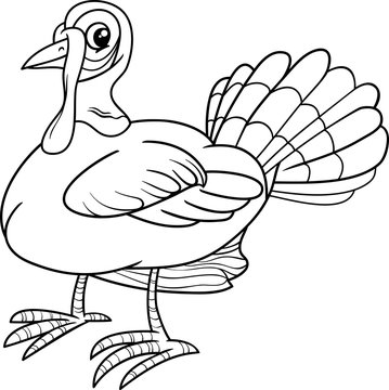 turkey bird coloring book