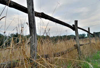 Fototapeta premium Alter Holzzaun vor vertrocknetem Gras