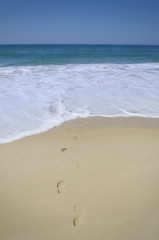 Footprints in beach sand leading into ocean