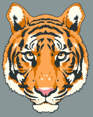 Tiger Head