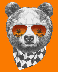 Original drawing of Bear with mirror sunglasses. Isolated on colored background