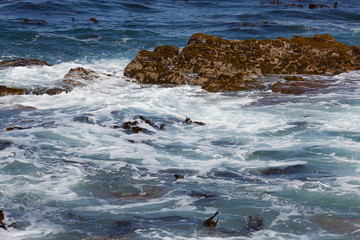 Obraz premium beautiful sea landscape in South Africa
