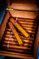 Cigars in humidor