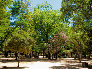Obraz premium park