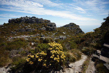 beautiful mountain landscape in South Africa
