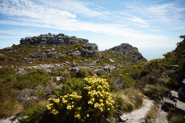 Fototapeta na wymiar beautiful mountain landscape in South Africa