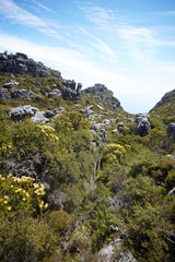 Fototapeta na wymiar beautiful mountain landscape in South Africa