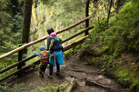 mother with boy and girl in baby carrier hiking on natural trail in mountains