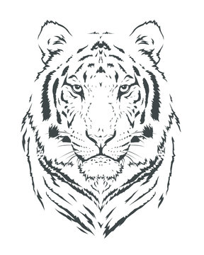 Tiger Silhouette 