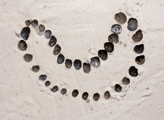 Picture of the snails in the sand