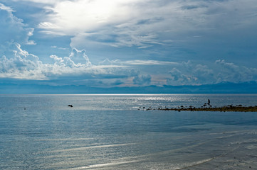 Locals Look for Sea Shells During A Low Tide. During a low tide from early afternoon until evening, local residents for live sea shells for consumption and selling in the wet market.