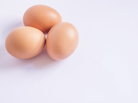 Eggs 4