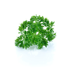 parsley isolated on white