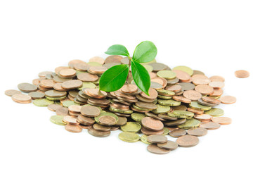 Investire il capitale 