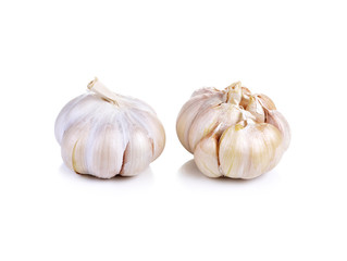 Garlic isolated on white background