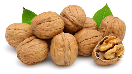 Walnut group