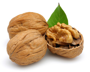 Walnut group