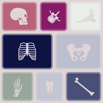 Seamless background with human bones  for your design