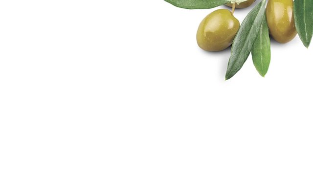 Olive sprig with green olives
