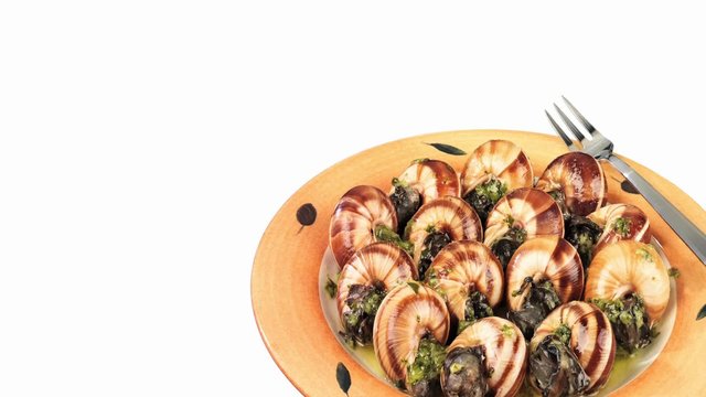 Snails in herb and garlic sauce