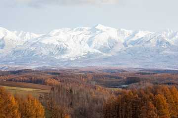 冠雪の大雪山と紅葉
