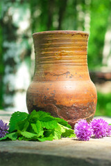 Jug with milk in a garden