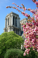 Spring in Paris, Notre-Dame Cathedral