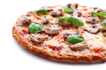 Tasty pizza with vegetables and basil close up
