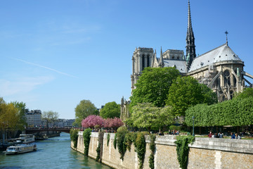 Notre-Dame Cathedral Spring Paris