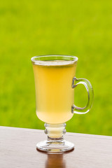 Hot lemon tea with honey on wood table against green nature backgrou