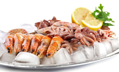 Seafood with lemon and ice on metal tray isolated on white