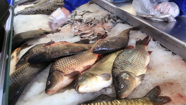 Seller puts fresh fish in the package at the fish market.