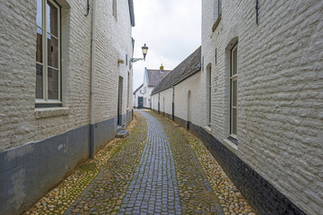 The little white town of Thorn