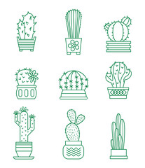 Set of vector cactus icons 