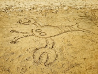 Fototapeta na wymiar Disegni sulla sabbia