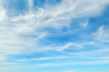 Naklejka na ściany i meble plumose clouds in the blue sky