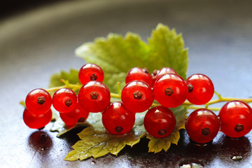 red currants closeup
