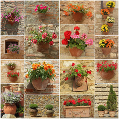 Fototapeta na wymiar abstract floral wall made of group of images with flowerpots