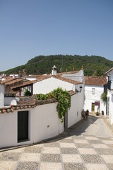 Fototapeta na wymiar Calles estilo rural del municipio de Almonaster la Real en Huelva, Andalucía