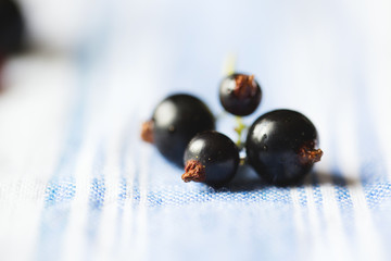 Black currant close-up.