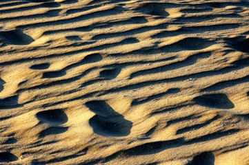 Schattenspiele am Strand