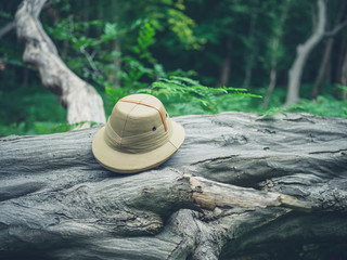 Safari hat on fallen tree in the forest