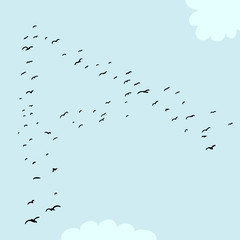 Bird Formation In A