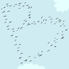 Bird Formation In B
